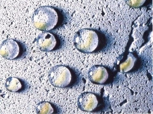 Гидрофобизирующие добавки в цементный раствор бетона образец